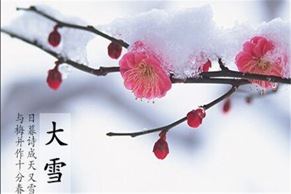 江苏喷塑设备厂家｜大雪时节,雪落归家